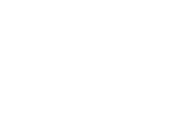 Variowell